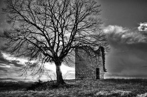 Image Noir & Blanc